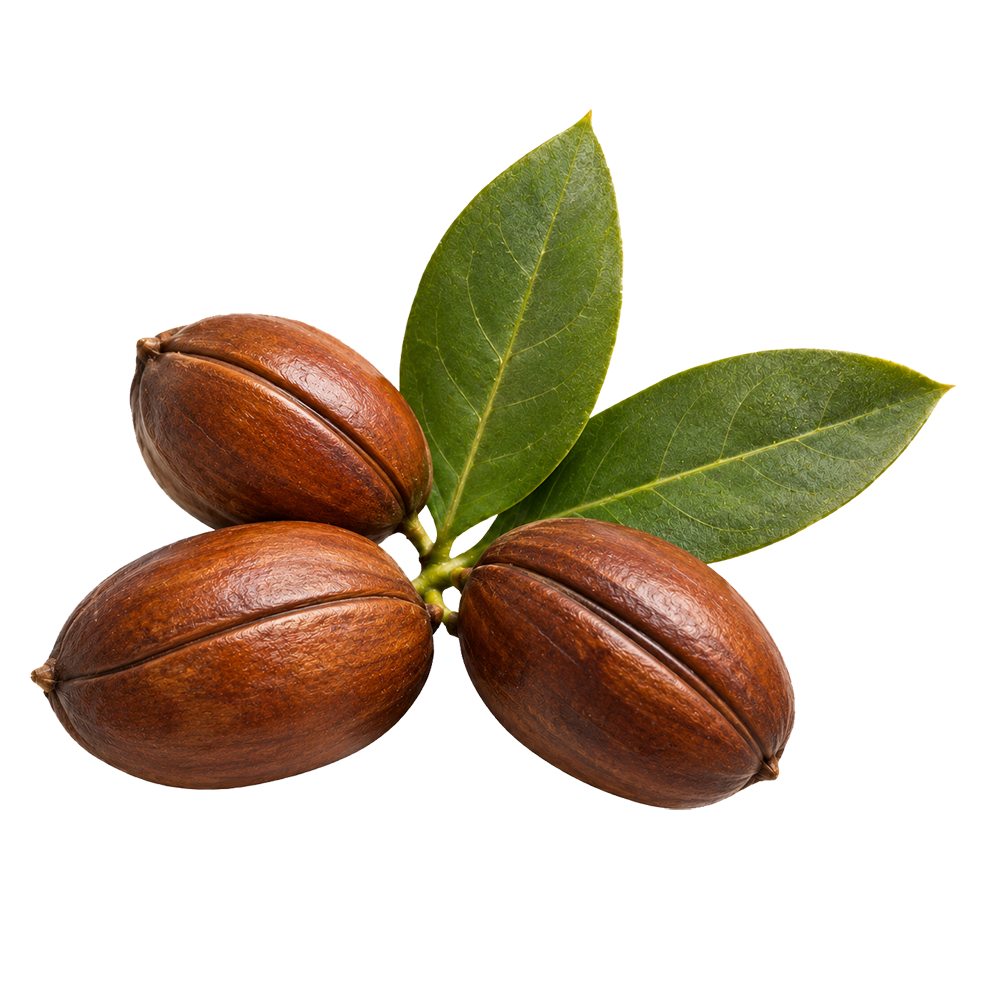 Jojoba Oil